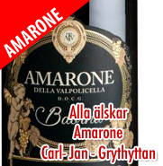 Farina Amarone Della Valpolicella Classico 15% 2017 0,75L