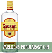 Gordons Gin 1 Liter